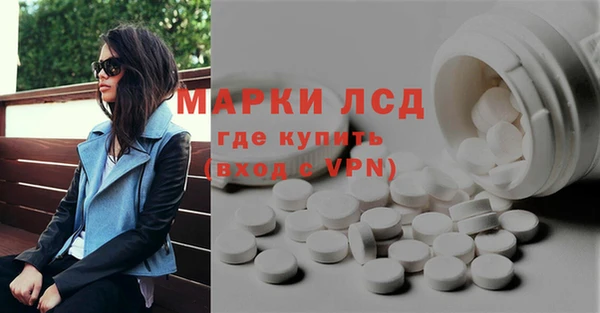 дмт Алзамай