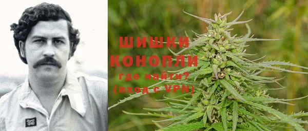 дмт Алзамай
