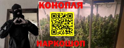 винт Дубна